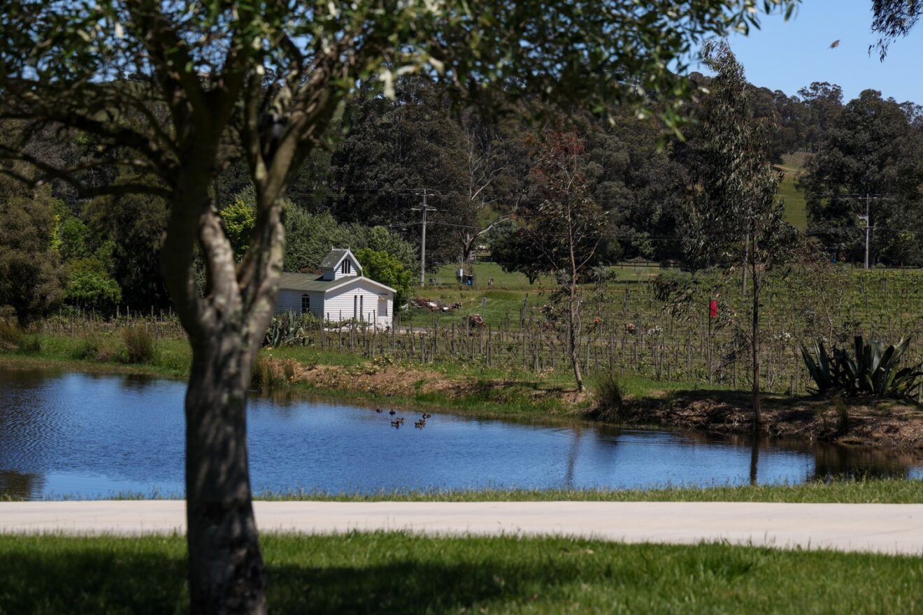 Vineyard view at De'Vine Escape