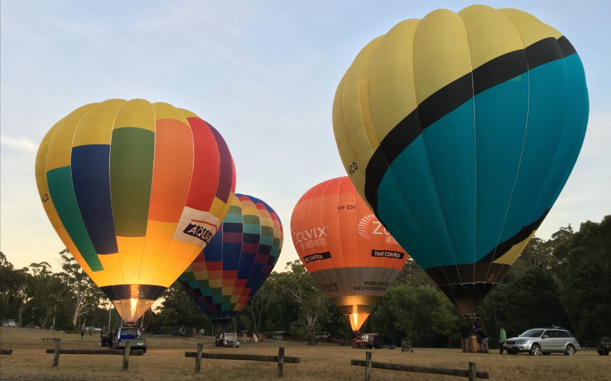 Hot air balloon over Yarra Valley